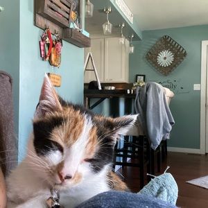 Meet your Posher, Melody